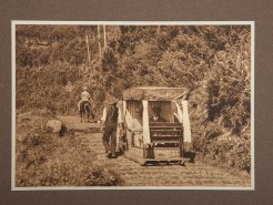 1922 Photographic Album of Luxury Trip to Madeira